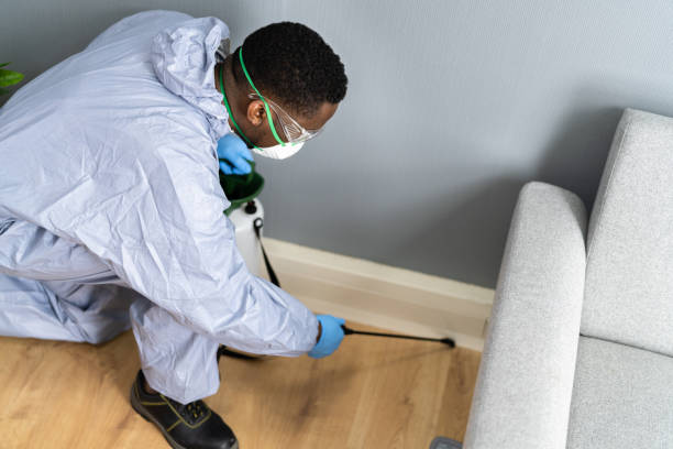 Professional Pest control in Geneva, WA